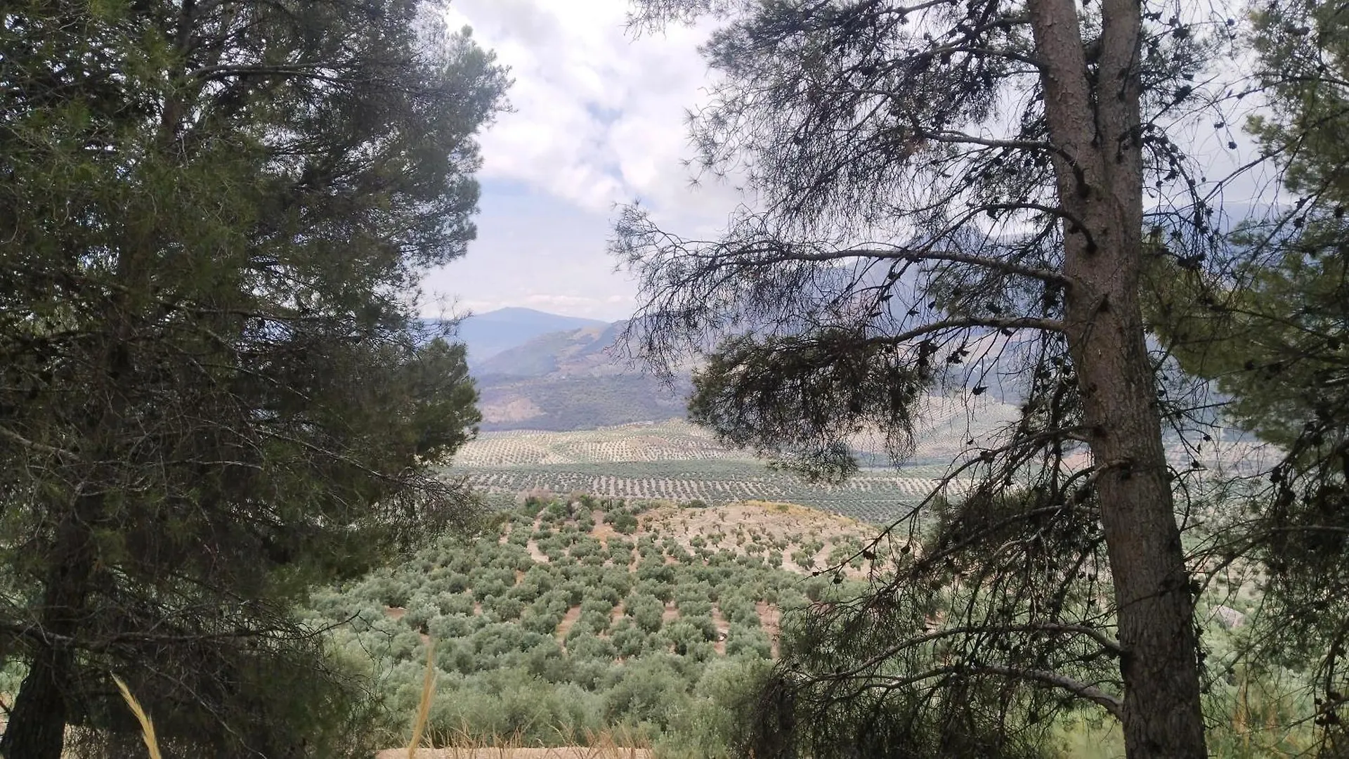 Divertida Y Romantica Pegalajar Holiday home